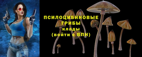 винт Липки