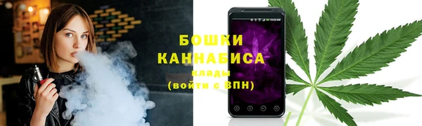 винт Липки
