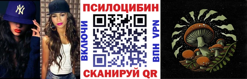 где можно купить Городище ссылка на мегу ТОР Псилоцибиновые грибы Cubensis